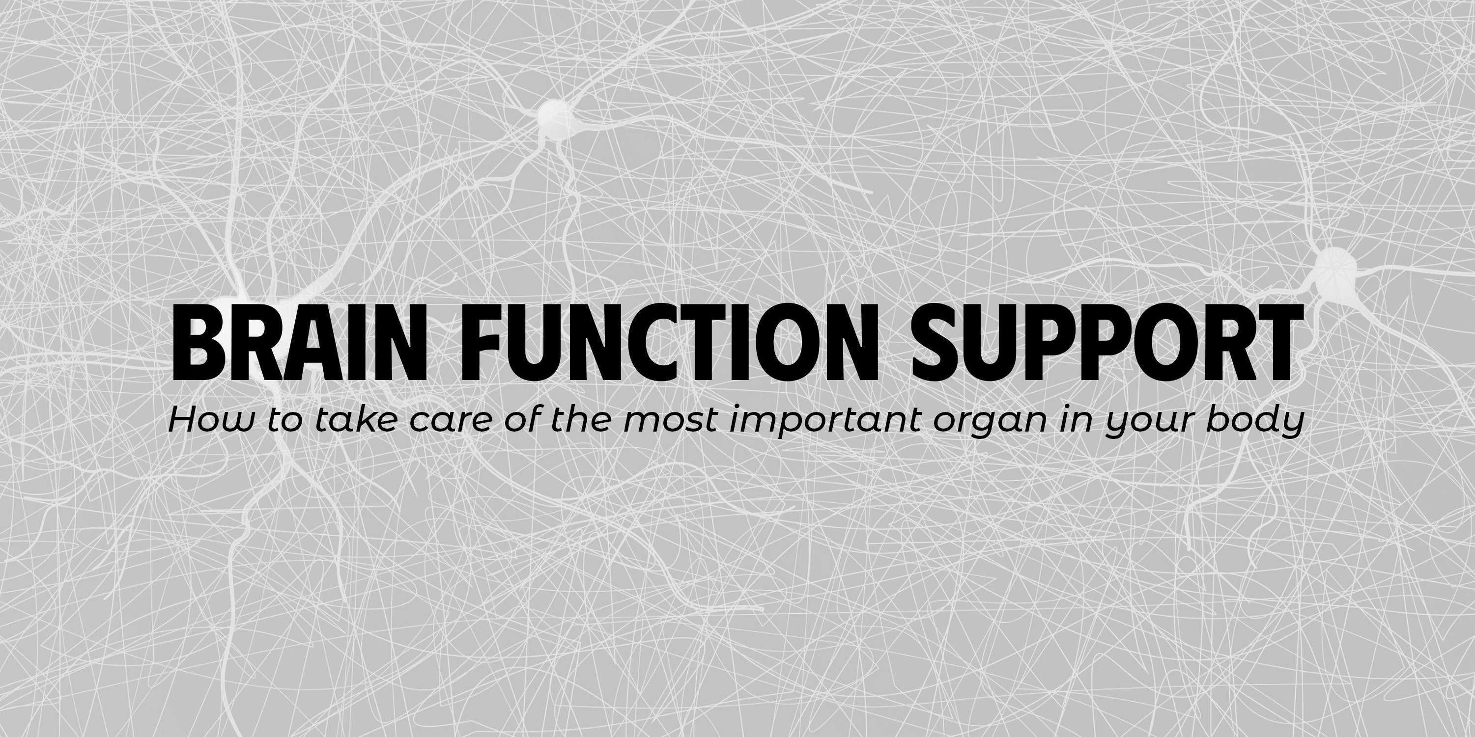 Brain function support: how to take care of the most important organ in your body