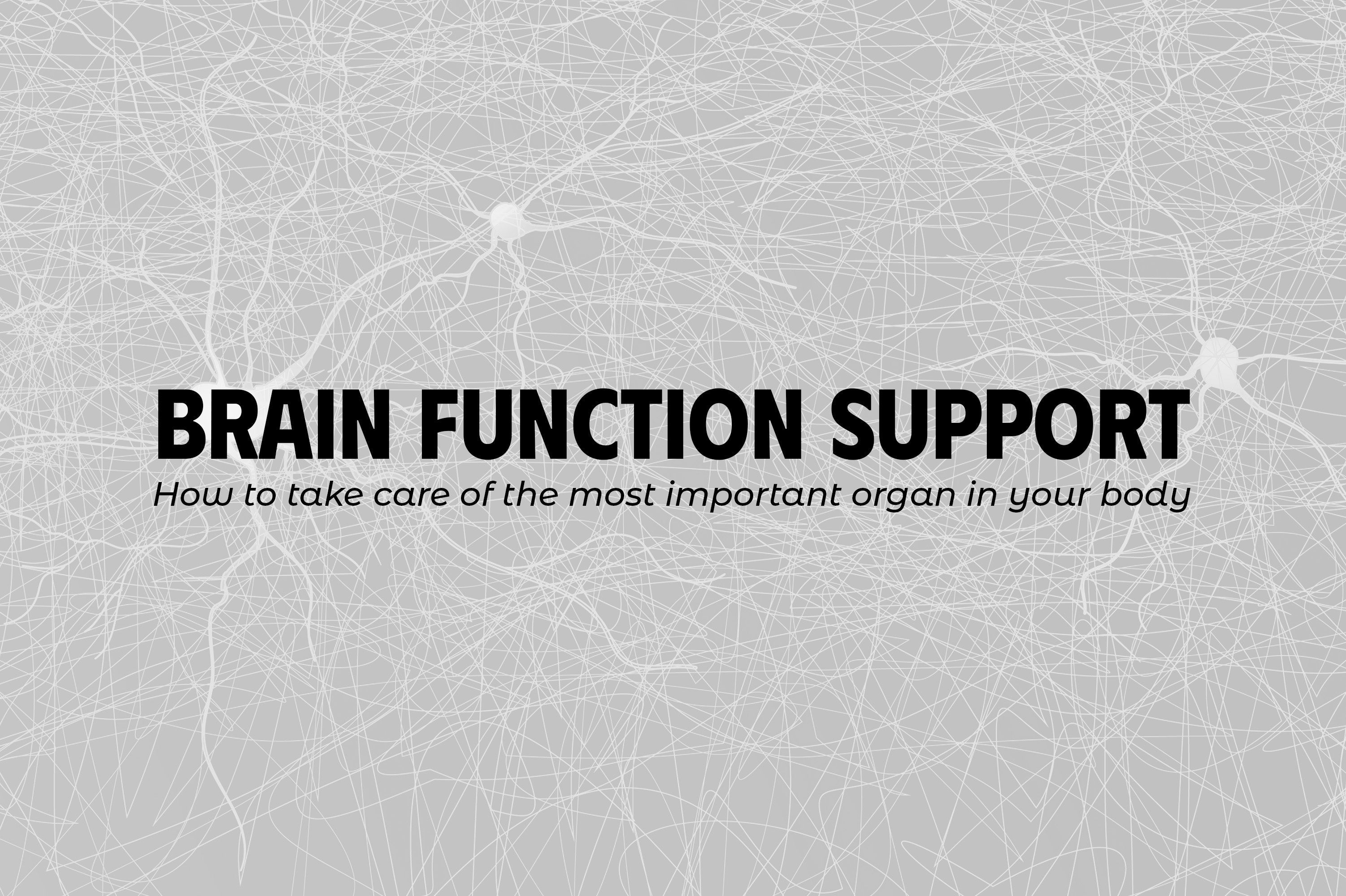 Brain function support: how to take care of the most important organ in your body
