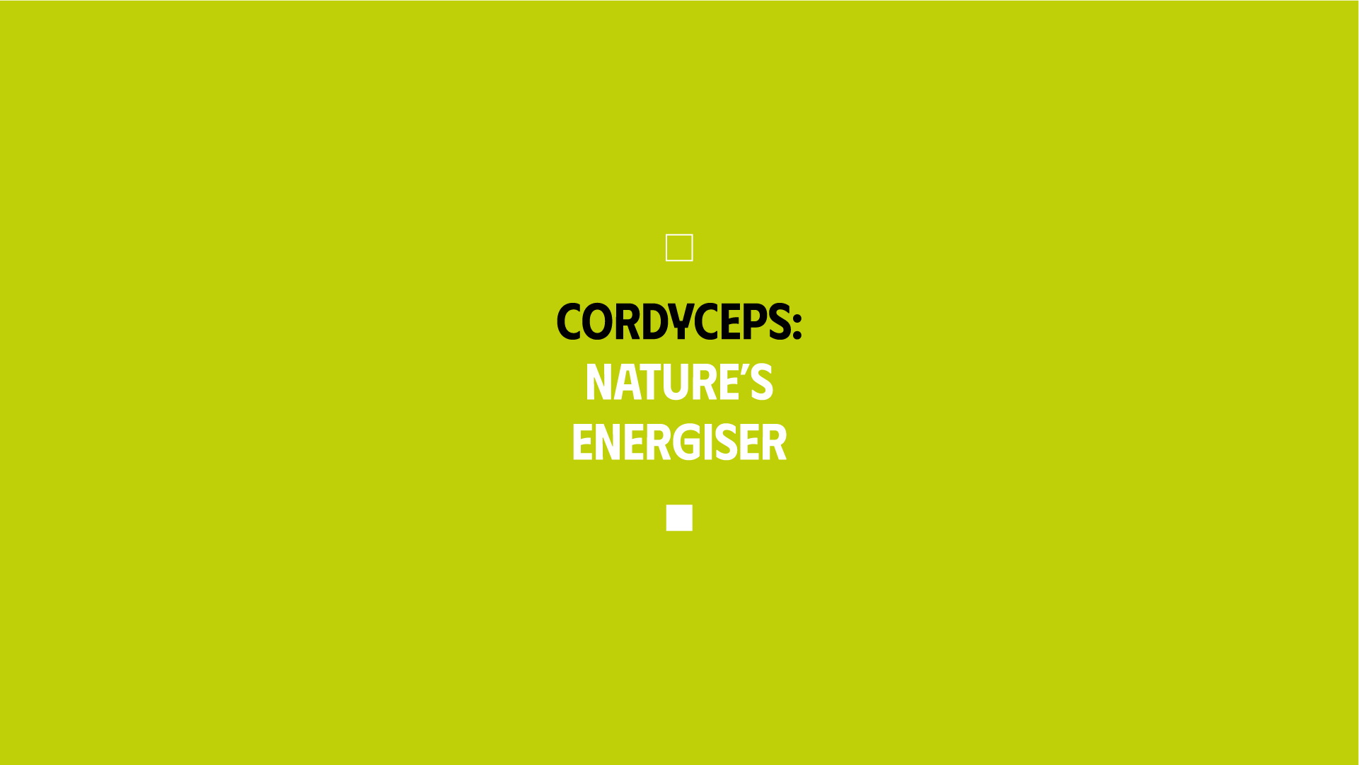 Cordyceps: Nature's Energiser