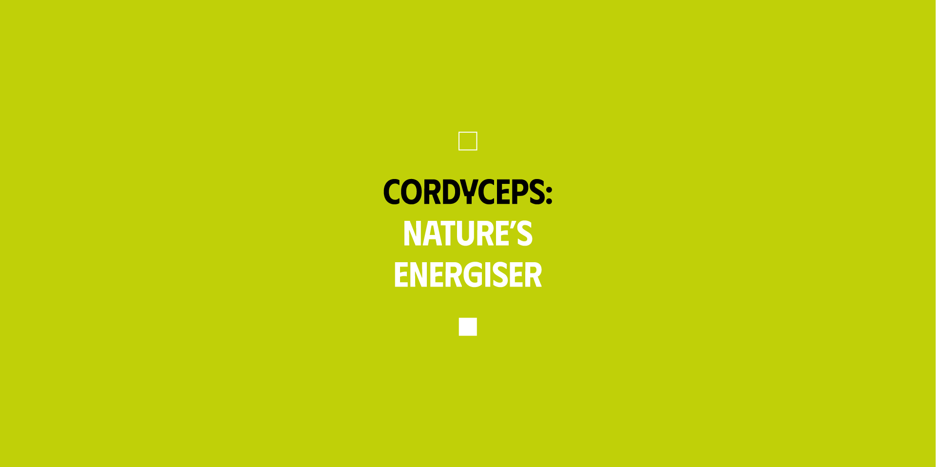 Cordyceps: Nature's Energiser