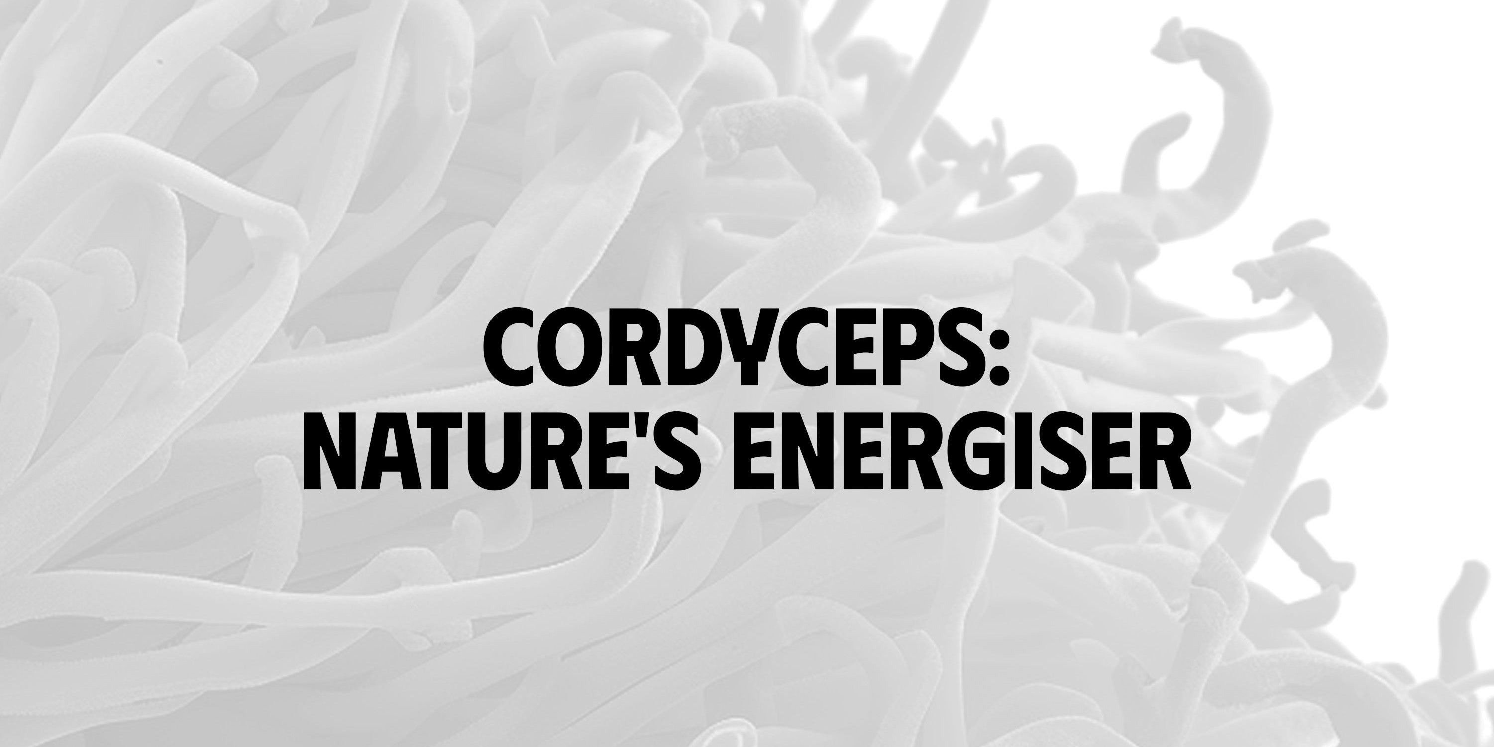 Cordyceps: Nature's Energiser