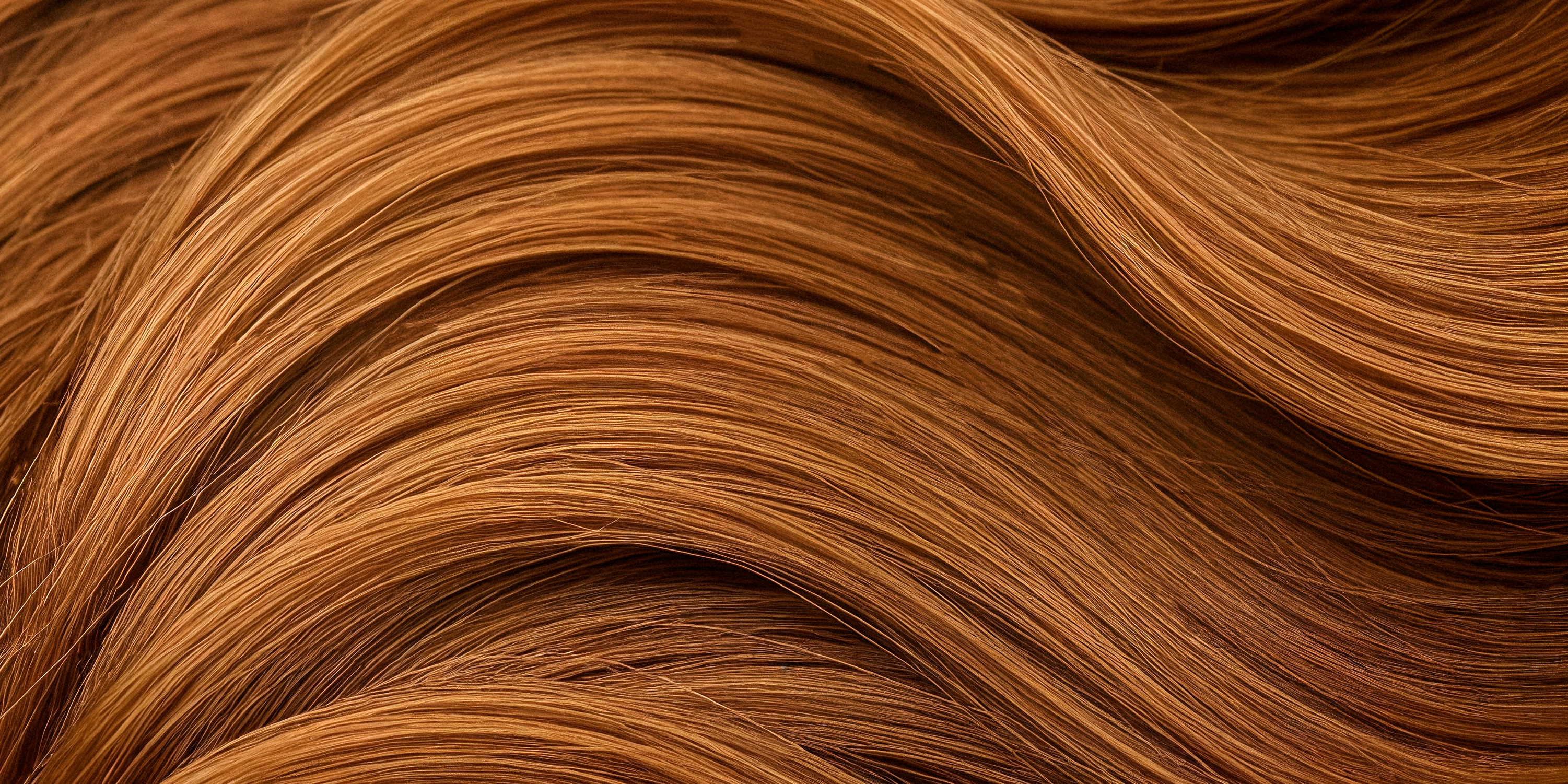 Beyond the Surface: The Biological Foundation of Hair Wellness